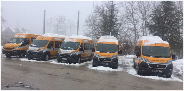 Travelling with kids on a Queensland’s